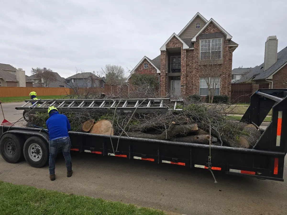 Expert Tree Pest Control with proper safety equipment in Roby